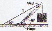 1883_Mass of a Strut.JPG